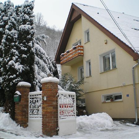 Villa Harmonia Panzio วิเชกราด ภายนอก รูปภาพ